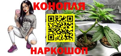 ПСИЛОЦИБИНОВЫЕ ГРИБЫ Лесосибирск