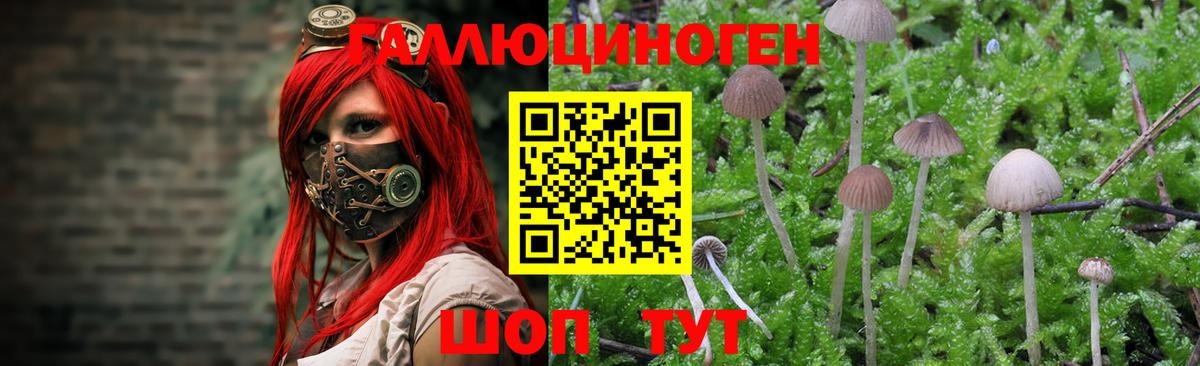 Псилоцибиновые грибы Psilocybe  Вход с VPN  Псилоцибиновые грибы Psilocybine cubensis  Конаково 